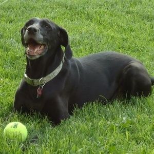 Meet your Posher, Ted